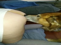Puppy love
